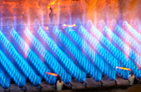 Elberton gas fired boilers